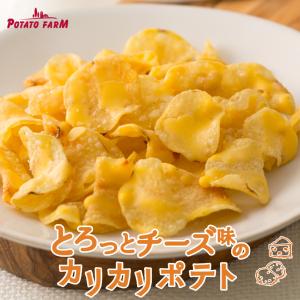 とろっとチーズ味のカリカリポテト 6袋入×4箱 ポテトファーム カルビー ポテトチップス スナック お菓子 北海道 お土産 ギフト プレゼント 送料無料