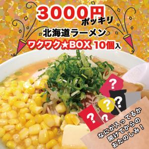 3000円ポッキリ 10個入 北海道ラーメン ワクワク★ボックス 北海道 味噌 醤油 塩 乾麺 生麺 福袋 お楽しみ 詰め合わせ お取り寄せ 送料無料｜souvenir-chidoriya