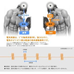 EMS 腹筋ベルト アクティブ14パット Bo...の詳細画像3