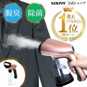 衣類スチーマー スチームアイロン 立ち上がり時間１分 ２way 衣類 スチーマー 除菌 消臭