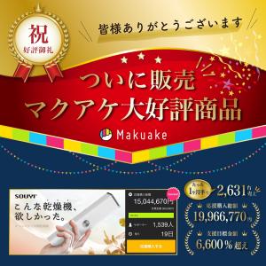 衣類乾燥機 一人暮らし 部屋干し 工事不要 ハ...の詳細画像1