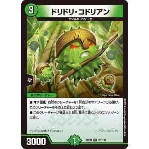 デュエル・マスターズ デュエルマスターズ 自壊のファミリア