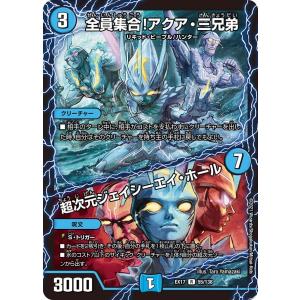 特製ヴァイスシュヴァルツ共通面スリーブ (ブラック/ホワイト) 55枚