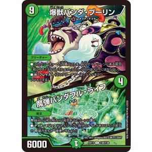 デュエル・マスターズ ブレイン・タッチ C多色 EX15 100/100