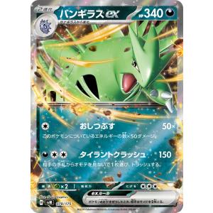 Pokemon ゼクロム〔R〕【雷/たね】〈*型番不問 VMAX