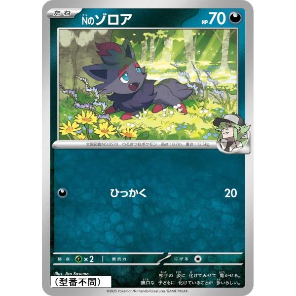 Nのゾロア〔-〕【悪/たね】　〈*型番不問　MEGAドリームex　M2aなど〉　ポケモンカードゲーム