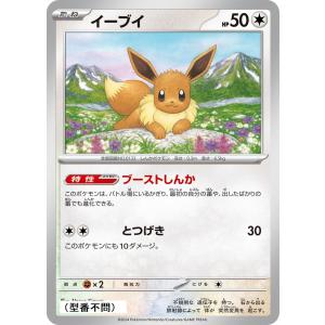 イーブイ(ブーストしんか)〔-〕【無/たね】 〈...の商品画像