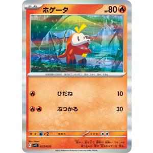 ホゲータ(キラ)〔-〕【炎/たね】 〈スターター...の商品画像