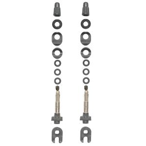 2個セット MAVIC(マヴィック) UST チューブレスバルブ tubeless (80mm) [...