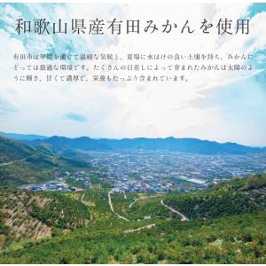 お中元 御供 お盆 ゼリー みかん 内祝い 手...の詳細画像4