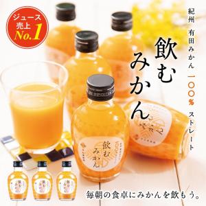 みかん ジュース ストレート 有田 無添加 果...の詳細画像1