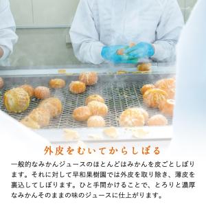 みかん ジュース ストレート 有田 無添加 果...の詳細画像3