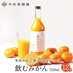 みかん ジュース 有田 無添加 ストレート 果汁100% 早和果樹園 飲むみかん 720ml×12本入w 送料無料  和歌山 お取り寄せ 健康