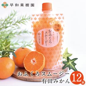 飲むゼリー みかん スムージー 有田みかん フルーツ ゼリーおふくろスムージーみかん170g×12本入 シャーベット 和歌山｜早和果樹園Yahoo!店