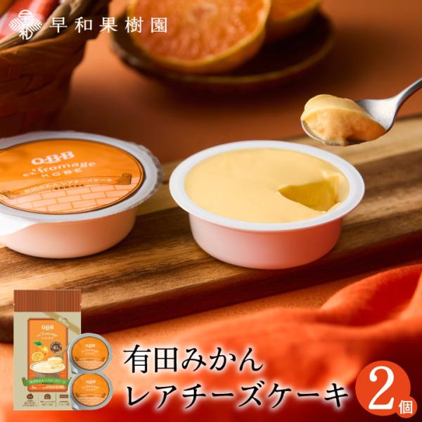 母の日 チーズケーキ お試し 濃厚 手土産 常温 人気 有田みかんレアチーズケーキ2個入 和歌山 有...