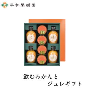早和果樹園 C10-B飲むみかんジュースセット 10本箱セット 爆買