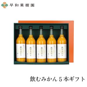 早和果樹園 C10-B飲むみかんジュースセット 10本箱セット : にっぽん