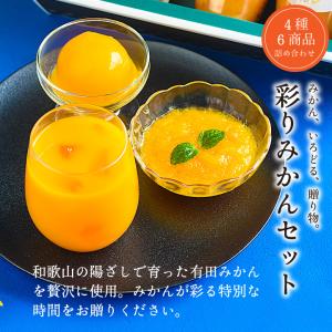お中元 プレゼント 2026 ギフト 3000...の詳細画像1