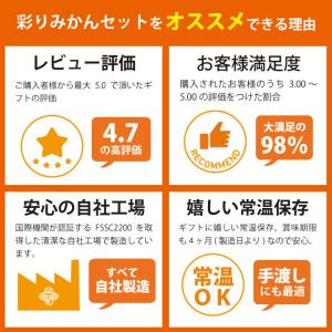 お中元 プレゼント 2026 ギフト 3000...の詳細画像2
