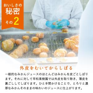 お中元 プレゼント 2026 ギフト 3000...の詳細画像4