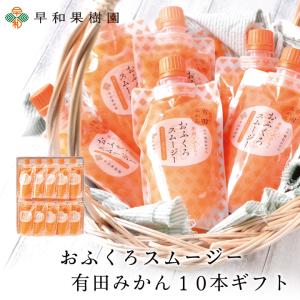 スムージー ギフト お見舞い 飲むゼリー パウチ みかん 和歌山 有田 内祝 御祝 おふくろスムージー10本ギフト シャーベット 送料無料 お盆 帰省 手土産 簡易包装