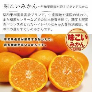 みかん 有田 産地直送 味こいみかん 3kg ...の詳細画像1
