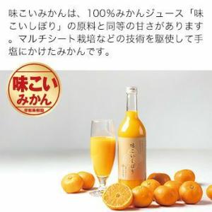 みかん 有田 産地直送 味こいみかん 3kg ...の詳細画像2