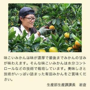 みかん 有田 産地直送 味こいみかん 3kg ...の詳細画像4
