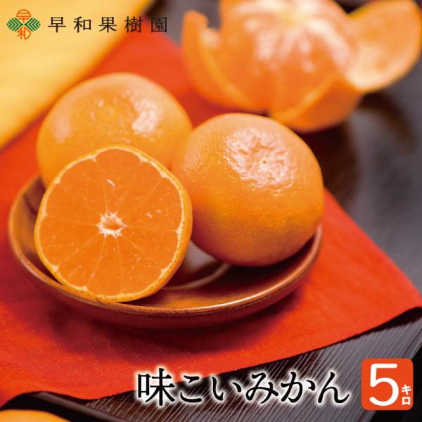 みかん 有田 産地直送 味こいみかん 5kg 送料無料 国産 早和果樹園 和歌山 高級みかん お歳暮...