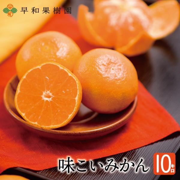 みかん 有田 産地直送 味こいみかん 10kg 送料無料 国産  早和果樹園 和歌山 高級みかん お...