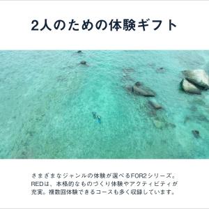体験ギフト FOR2ギフト(RED) クリスマ...の詳細画像1
