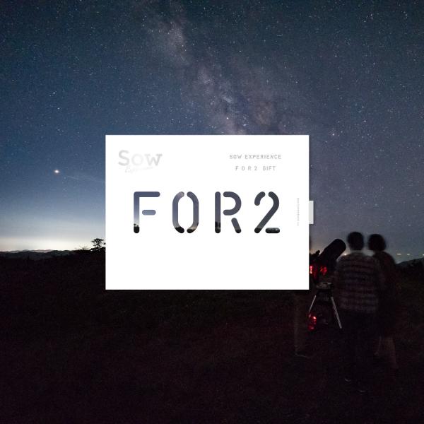 体験ギフト FOR2ギフト（SILVER）母の日 父の日 結婚 出産 誕生日 お祝い クリスマス カ...