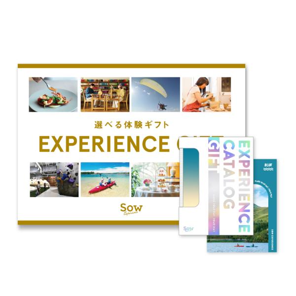 体験ギフト『総合版カタログギフト（BLUE） 景品セット』 結婚 出産 誕生日 クリスマス 忘年会 ...