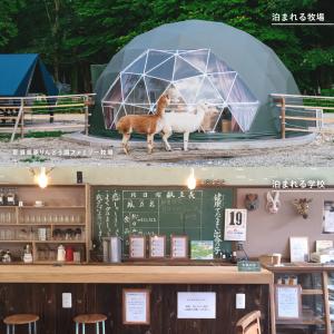 旅行ギフト こんなところに泊まれるギフト 旅行...の詳細画像5