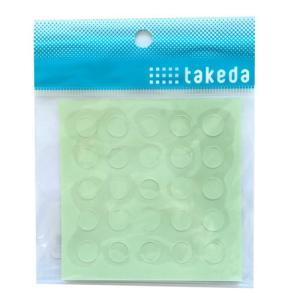 タケダ ヘキサスケール 15cm 一般 1/100 1/200 1/300 1/400 1/500 1