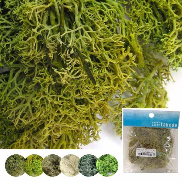 ジオラマモス 模型 建築模型 材料 ジオラマ 立体パース 工作 鉄道模型 クラフト インテリア 土 ...