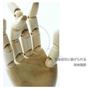 手のモデル ハンド 右 17.5cm ( 手の...の詳細画像1