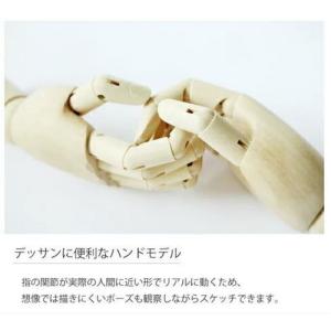 手のモデル ハンド 右 17.5cm ( 手の...の詳細画像4