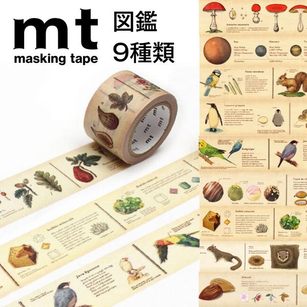 mt マスキングテープ ex 図鑑 幅30mm×7m かわいいデザイン マステ カモイ加工紙