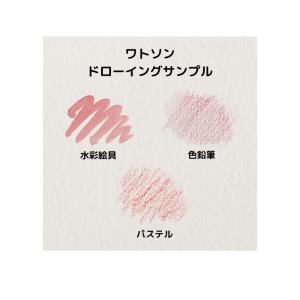 ワトソン 色紙(しきし)パック「ワトソン」姫・...の詳細画像3