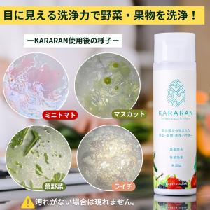 野菜果物洗浄剤 KARARAN【公式】野菜洗い...の詳細画像1