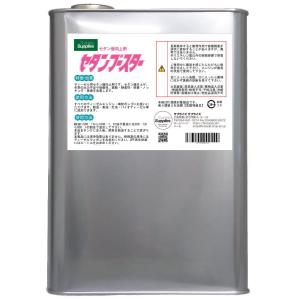 4L セタンブースター 4000ml セタンブースター4L ディーゼル