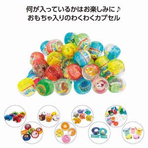 バラエティカプセル *1個からOK* 記念品 景...の商品画像