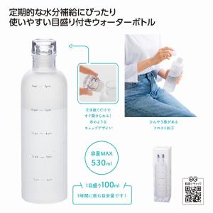 タイムマーカー ウォーターボトル 名入れ可能商品...の商品画像