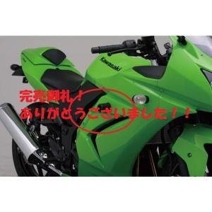 08'〜12' NINJAニンジャ250R エンジンプロテクター デイトナ