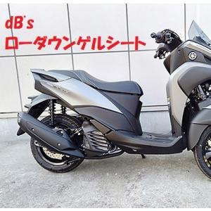 REALIZE リアライズマフラー トリシティ125 SE82J 22 Racing