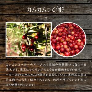 スピルリナ・カムカム久米島酵素 1000粒 サ...の詳細画像5