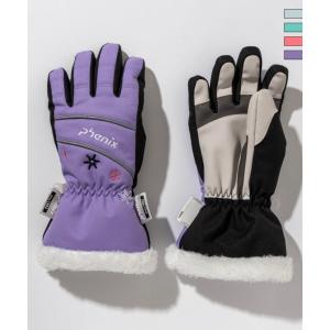 phenix フェニックス Gradient Snow Pattern Gloves グラディエント...