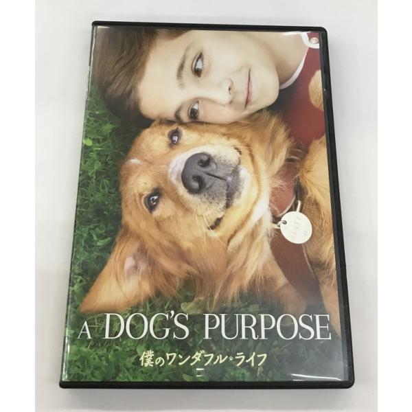 A DOG’S PURPOSE 僕のワンダフルライフ DVD 中古美品