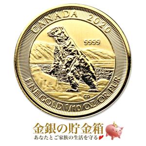 ホッキョクグマ金貨 1/10オンス 2020年製 クリアケース入り 純金 コイン カナダ｜spacein
